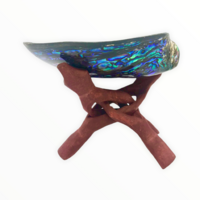 Premium Abalone Shell & Timber Stand